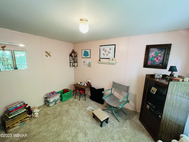 sitting room with carpet flooring