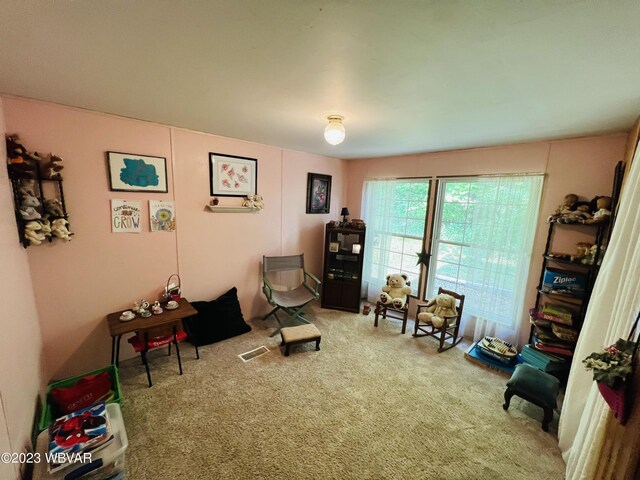 sitting room featuring carpet