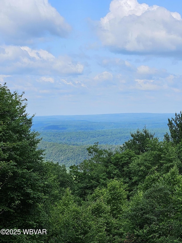 11 Mikes Peak Ln, Lock Haven, PA 17745 - water view featuring a forest