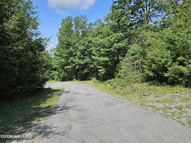 11 Mikes Peak Ln, Lock Haven, PA 17745 - view of street with a forest view