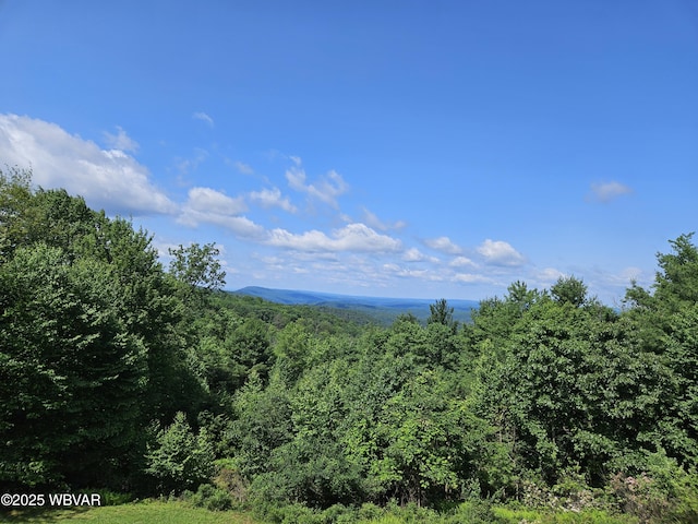 11 Mikes Peak Ln, Lock Haven, PA 17745 - mountain view featuring a heavily wooded area