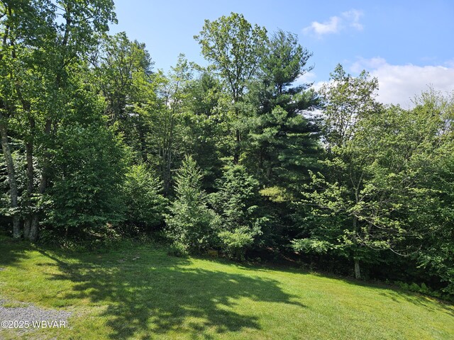 11 Mikes Peak Ln, Lock Haven, PA 17745 - view of green lawn