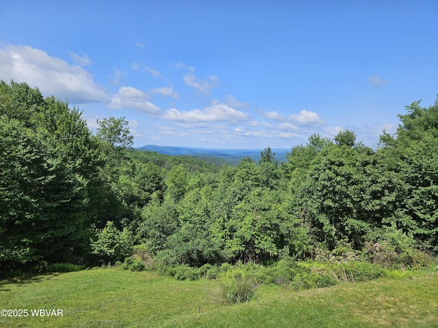 11 Mikes Peak Ln, Lock Haven, PA 17745 - view of mountain backdrop featuring a forest