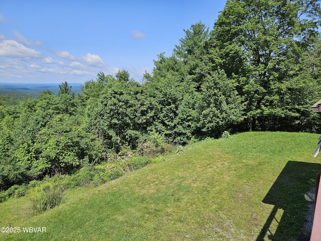 11 Mikes Peak Ln, Lock Haven, PA 17745 - view of grassy yard featuring a wooded view