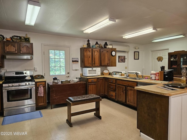 11 Mikes Peak Ln, Lock Haven, PA 17745 - kitchen with stainless steel gas range, white microwave, under cabinet range hood, a peninsula, and light floors