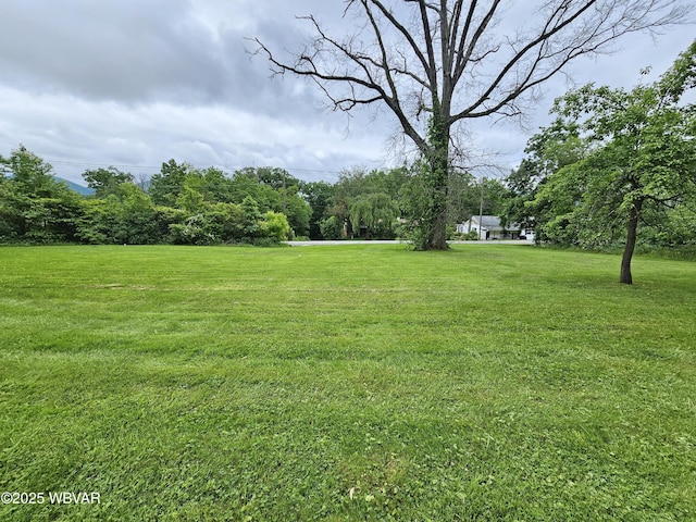 2435 Woodward Ave, Lock Haven, PA 17745 - photo 5