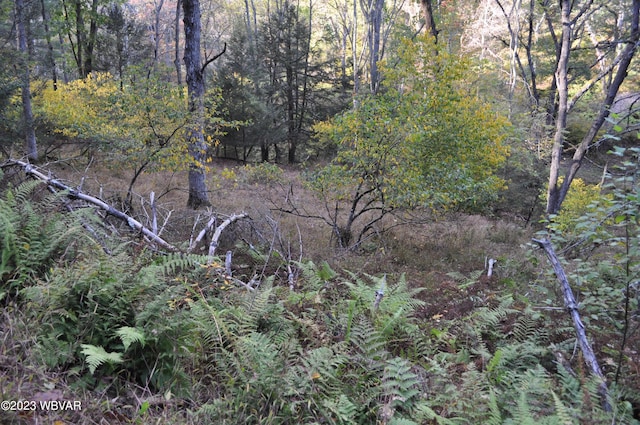 view of landscape