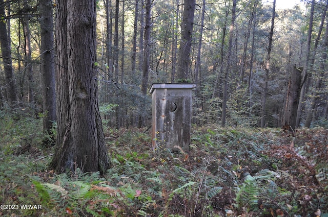 view of local wilderness