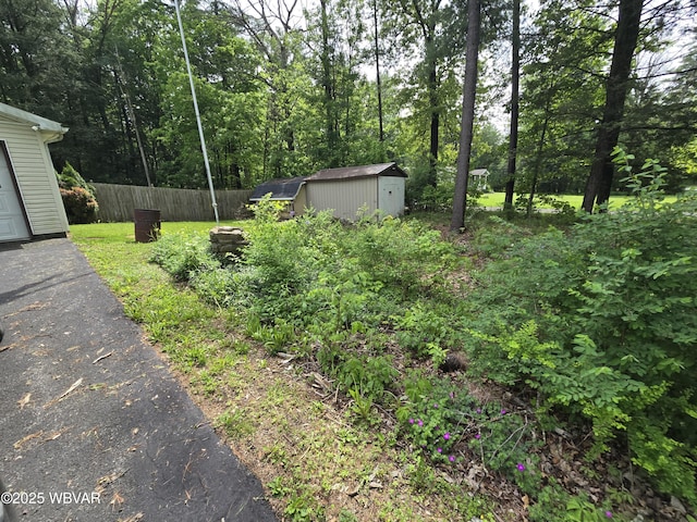 4316 Pine Mountain Rd, Jersey Shore, PA 17740 - view of yard