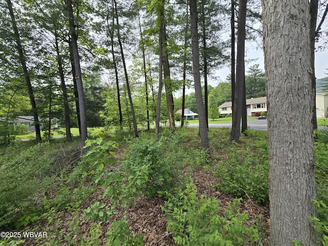 4316 Pine Mountain Rd, Jersey Shore, PA 17740 - view of local wilderness