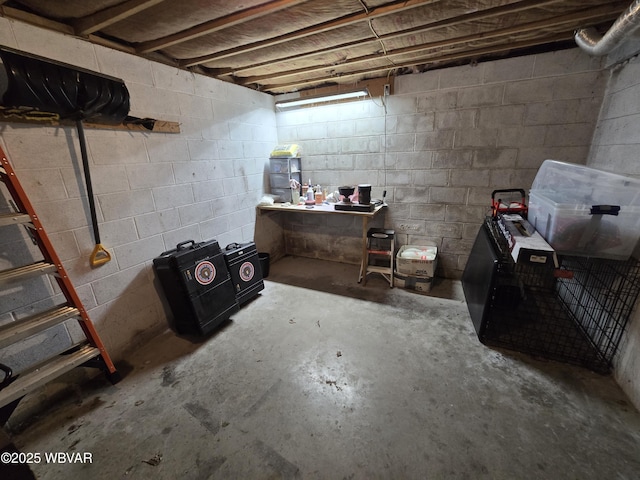 4316 Pine Mountain Rd, Jersey Shore, PA 17740 - view of unfinished below grade area