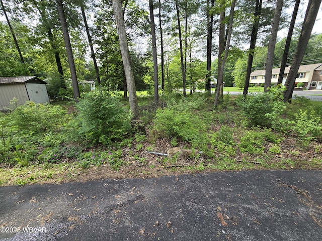 4316 Pine Mountain Rd, Jersey Shore, PA 17740 - view of yard