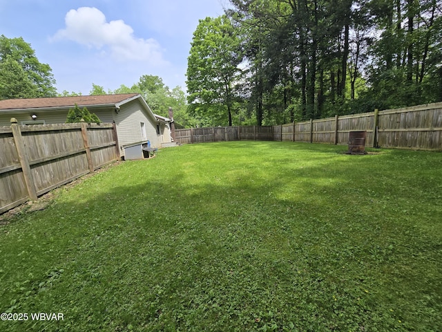 4316 Pine Mountain Rd, Jersey Shore, PA 17740 - view of yard