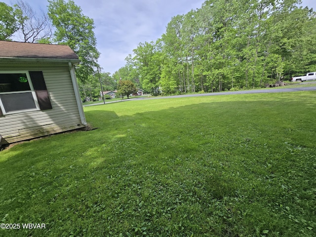 4316 Pine Mountain Rd, Jersey Shore, PA 17740 - view of green lawn