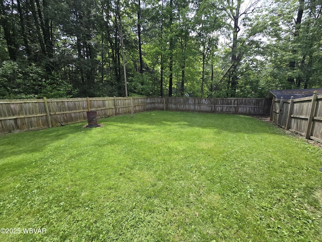 4316 Pine Mountain Rd, Jersey Shore, PA 17740 - view of yard