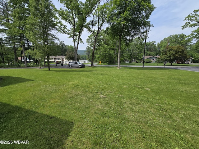 4316 Pine Mountain Rd, Jersey Shore, PA 17740 - view of grassy yard