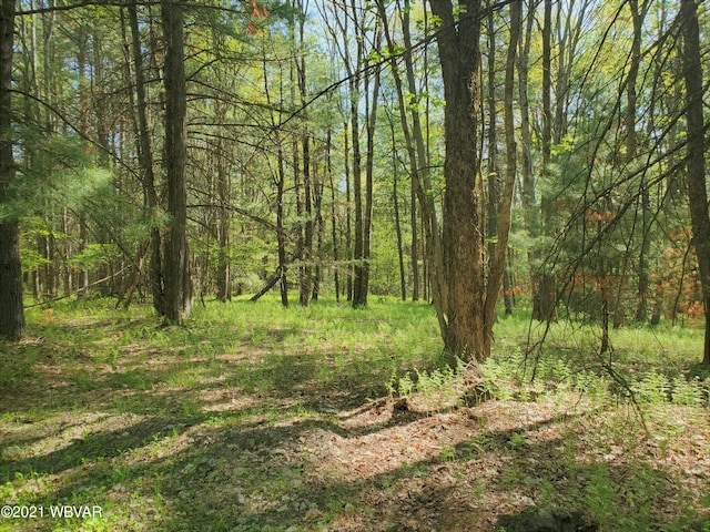 Old Pike Rd, Lock Haven PA, 17745 land for sale