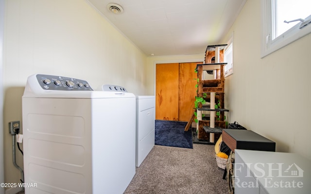 352 Bayard St S, Williamsport, PA 17702 - photo 11