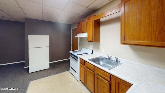 kitchen with a paneled ceiling, sink, light colored carpet, and white appliances