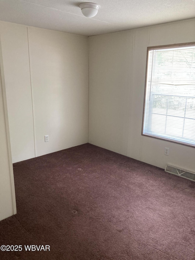 400 Livermore Rd, Williamsport, PA 17701 - spare room with visible vents and carpet floors