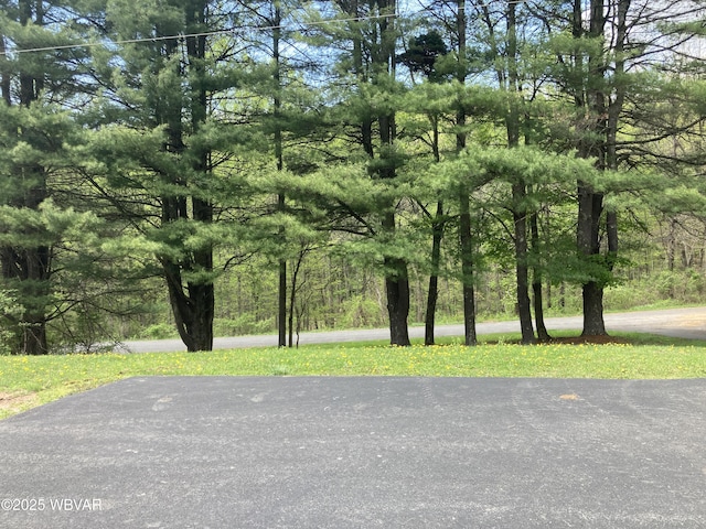 400 Livermore Rd, Williamsport, PA 17701 - exterior space
