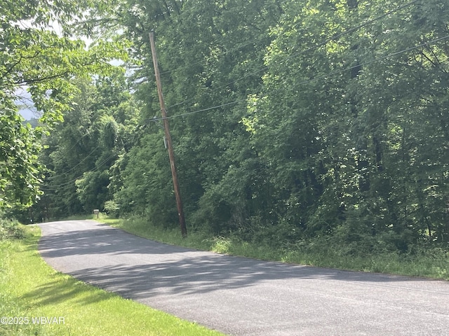 400 Livermore Rd, Williamsport, PA 17701 - photo 21