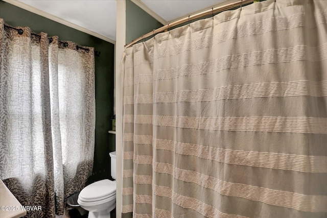 679 2nd Ave, Williamsport, PA 17701 - bathroom with crown molding and curtained shower