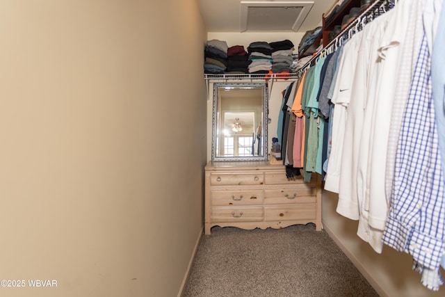 walk in closet featuring carpet floors