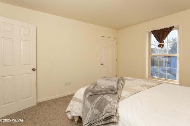 bedroom with carpet flooring