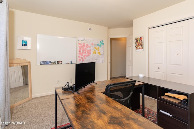 office area featuring carpet