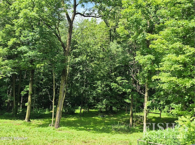 3178 W Winter Rd, Loganton, PA 17747 - view of undeveloped land