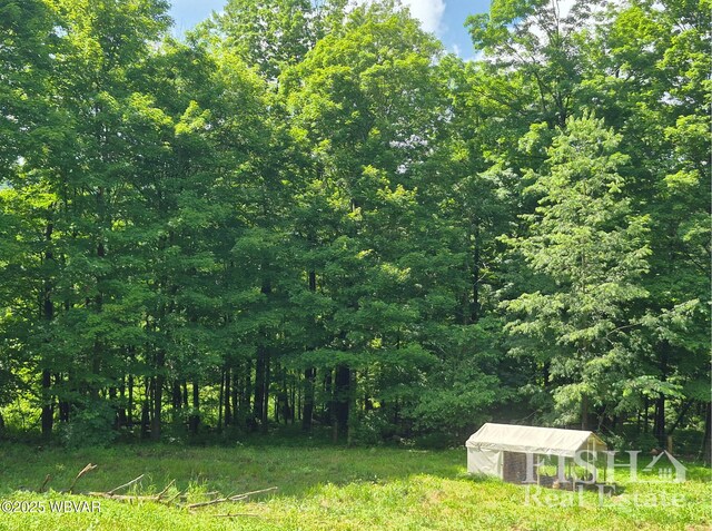 3178 W Winter Rd, Loganton, PA 17747 - view of yard with an outdoor structure