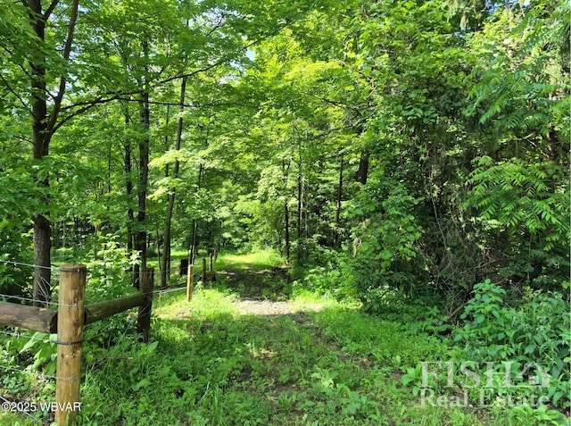 3178 W Winter Rd, Loganton, PA 17747 - view of tree filled area