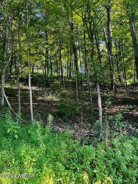 Saint Michaels Rd, Cogan Station PA, 17728 land for sale