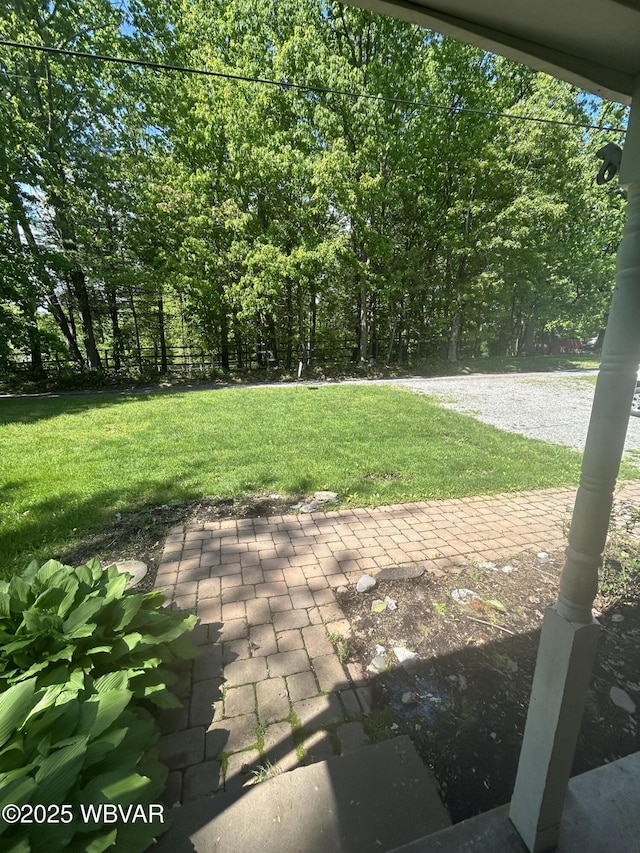 164 Dogwood Ln, Williamsport, PA 17701 - photo 3