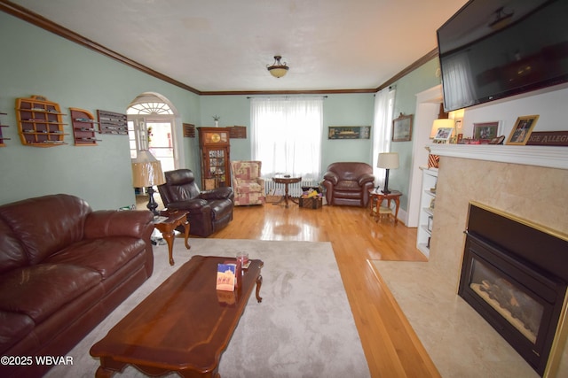 45 W Bald Eagle St, Lock Haven, PA 17745 - living area featuring crown molding, a fireplace, wood finished floors, and plenty of natural light