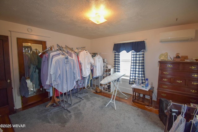 45 W Bald Eagle St, Lock Haven, PA 17745 - spacious closet with a wall unit AC