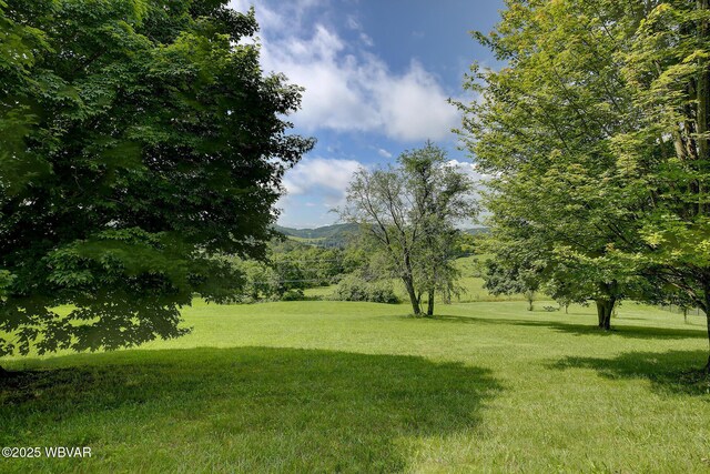 229 Irion Dr, Montoursville, PA 17754 - photo 15