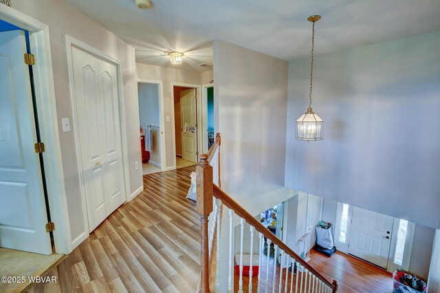 229 Irion Dr, Montoursville, PA 17754 - photo 20