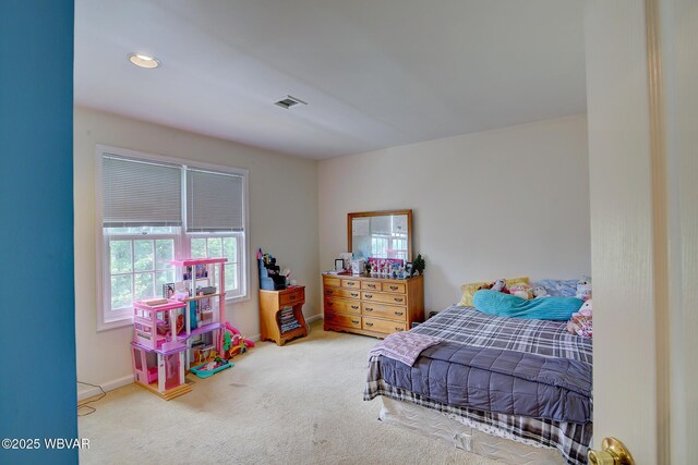 229 Irion Dr, Montoursville, PA 17754 - photo 21