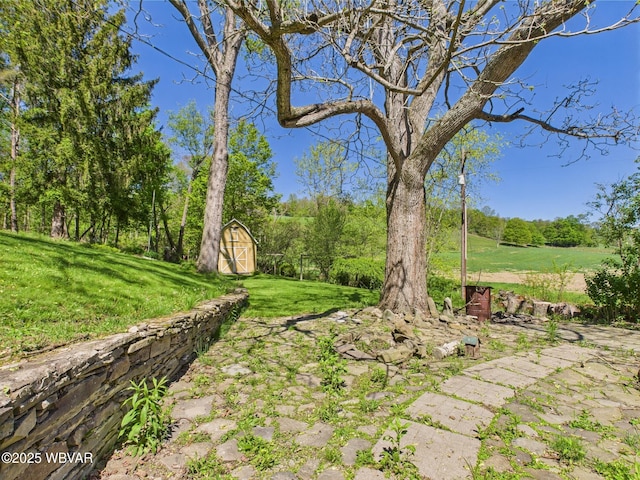 5667 Austinville Rd, Columbia Crossroads, PA 16914 - view of grassy yard featuring a shed and an outbuilding