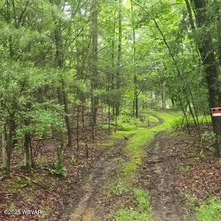 LOT7B Hemlock Ridge Rd, Jersey Shore, PA 17740