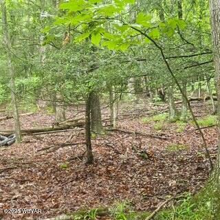 LOT7B Hemlock Ridge Rd, Jersey Shore, PA 17740