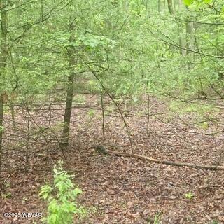 LOT7B Hemlock Ridge Rd, Jersey Shore, PA 17740