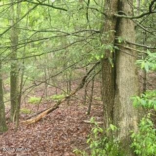 LOT7B Hemlock Ridge Rd, Jersey Shore, PA 17740