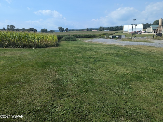 view of yard featuring a rural view