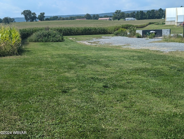 view of yard featuring a rural view