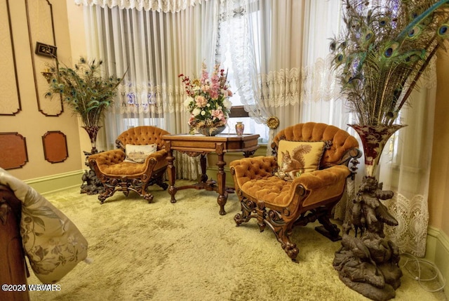 sitting room featuring carpet flooring