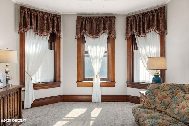 living area with light colored carpet