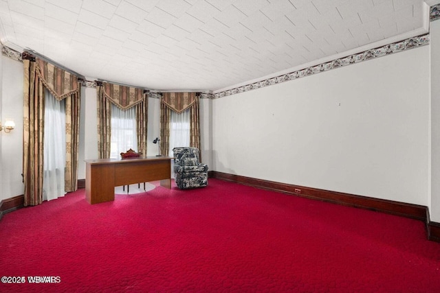 misc room with carpet flooring